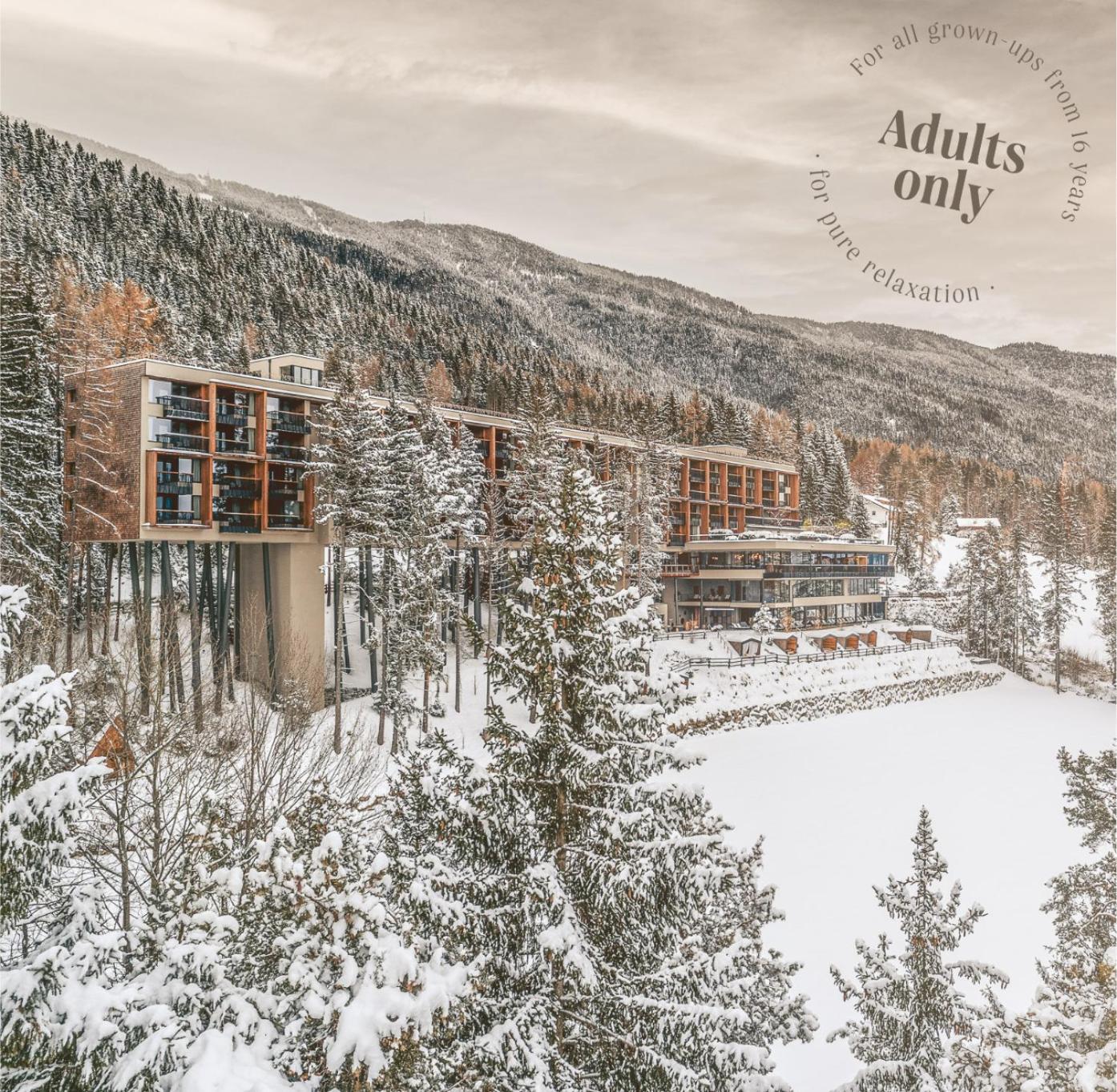 My Arbor - Dolomites Hotell Bressanone Eksteriør bilde The 7132 Summit